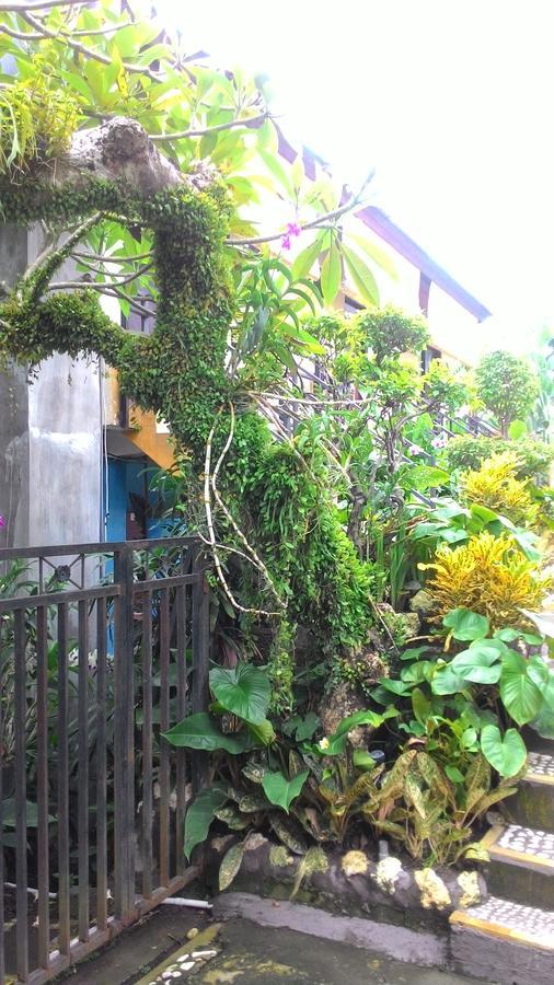 Wisma tamu Betesda Canggu (Bali)
