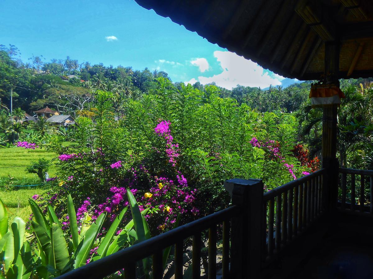 Puri Sawah Bungalows & Restaurant Karangasem (Bali)