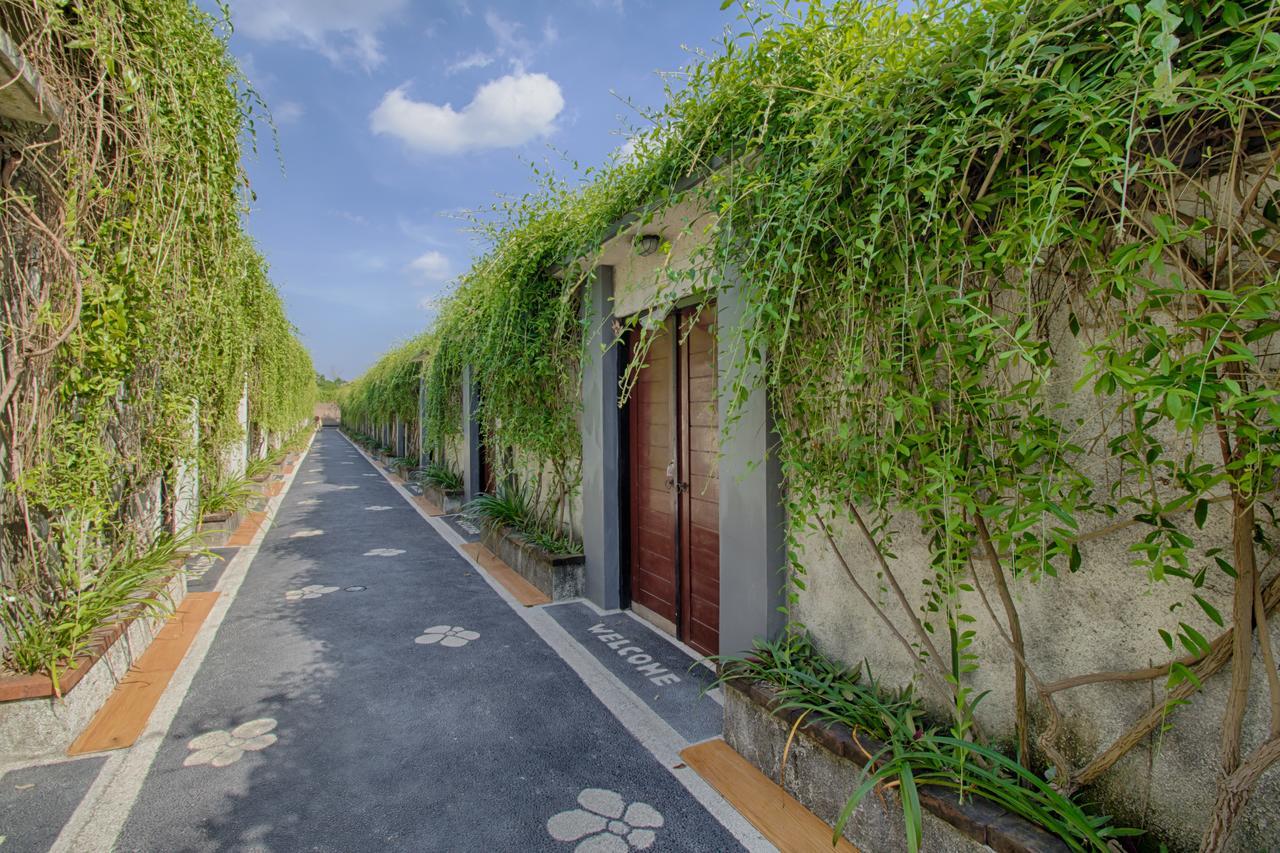 Guest house The Yogasari 3*