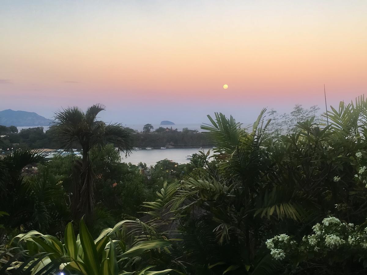 Manouria - Marcel * Padangbai (Bali)
