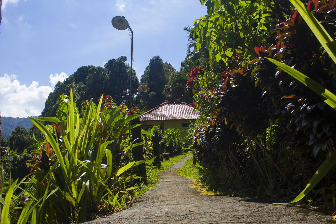 Aryautama Garden Homestay