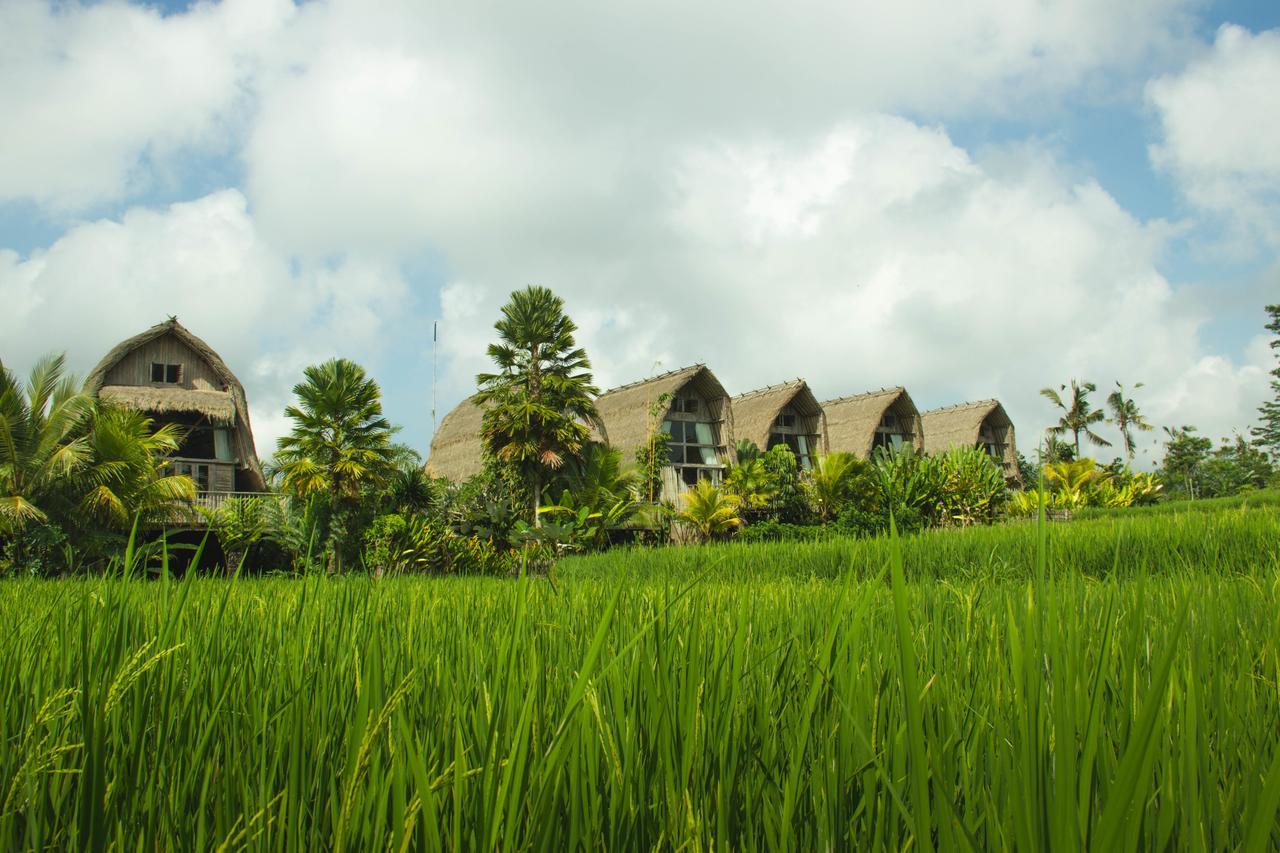 De Klumpu Bali Eco Tradi Resort Bangli