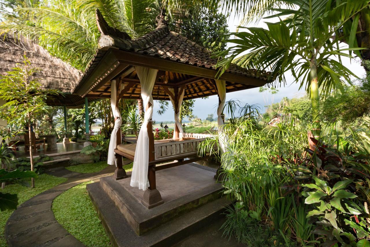 Umasari Rice Terrace By Agata *