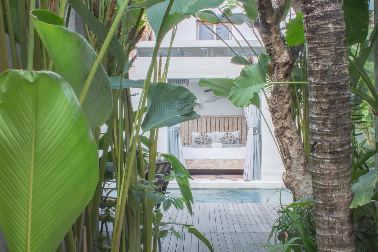 Madu Canggu (Bali)