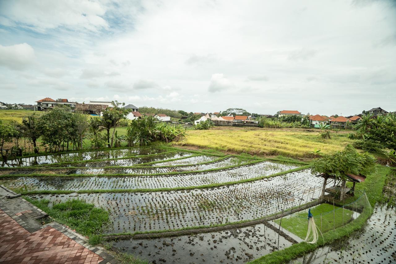 Guest house Canggu Beach Inn Canggu (Bali)