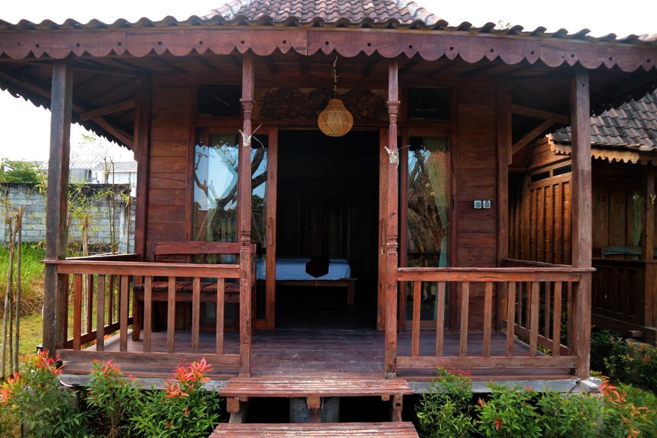 Guest house Premier Surf Camp