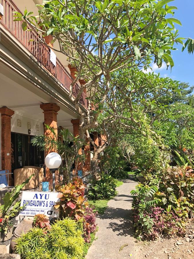 Ayu 2 2* Ubud (Bali)