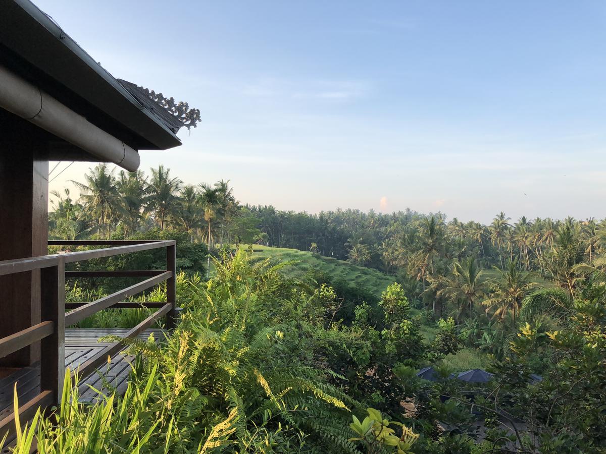 Resort Soulshine And Retreat 5*