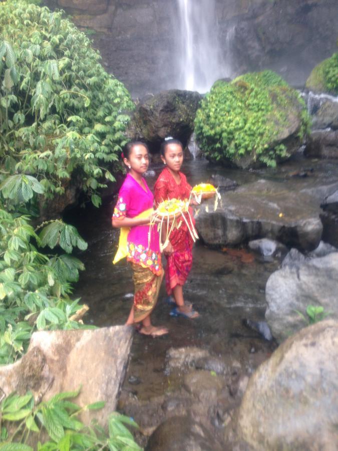 Sekumpul Bed & Breakfast Singaraja (Bali)