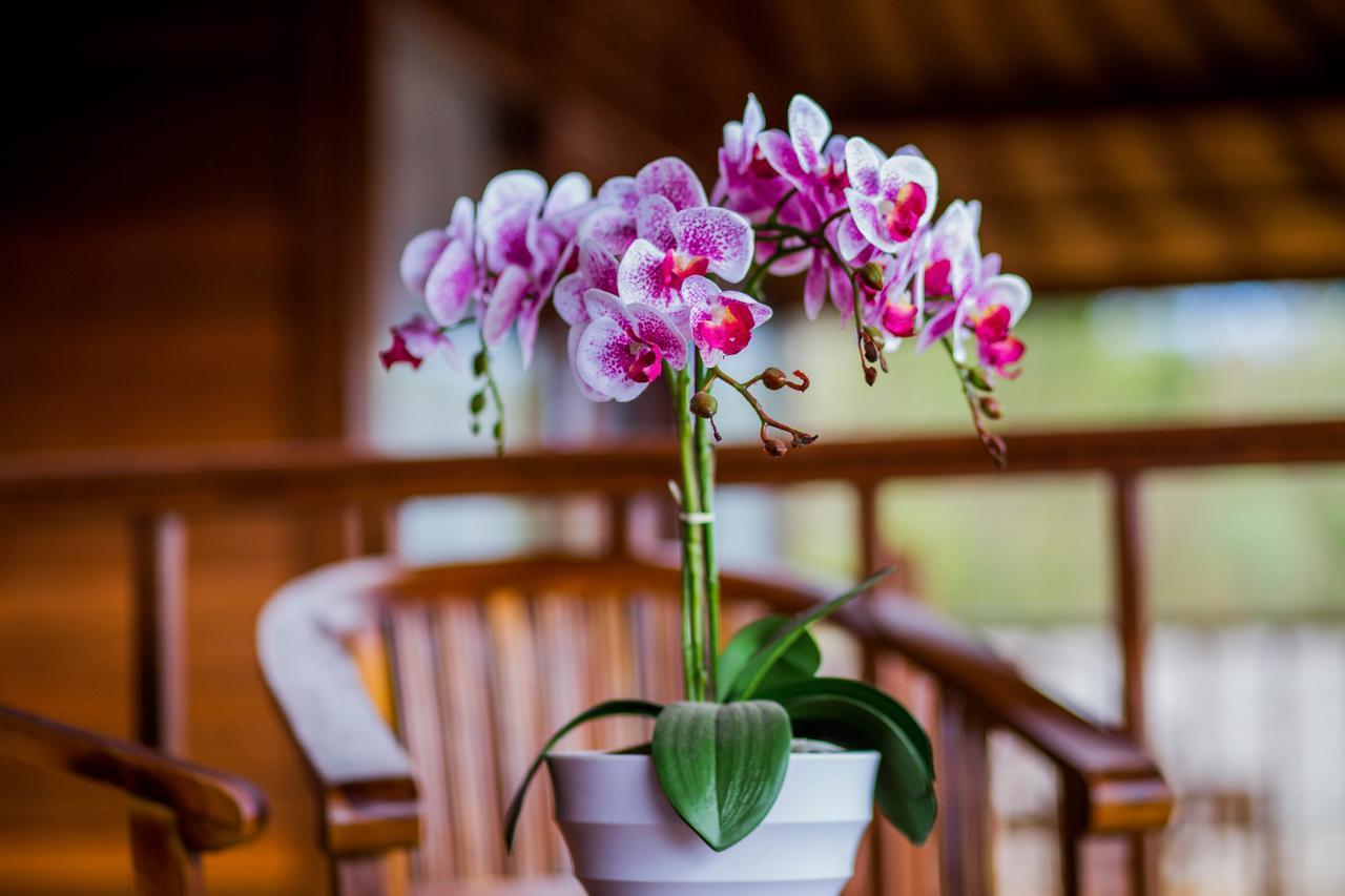 Samanta Huts Holiday park 3*