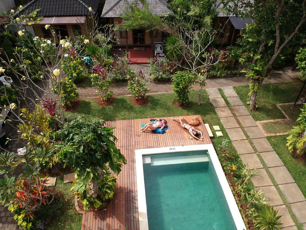 Timbis Bali *