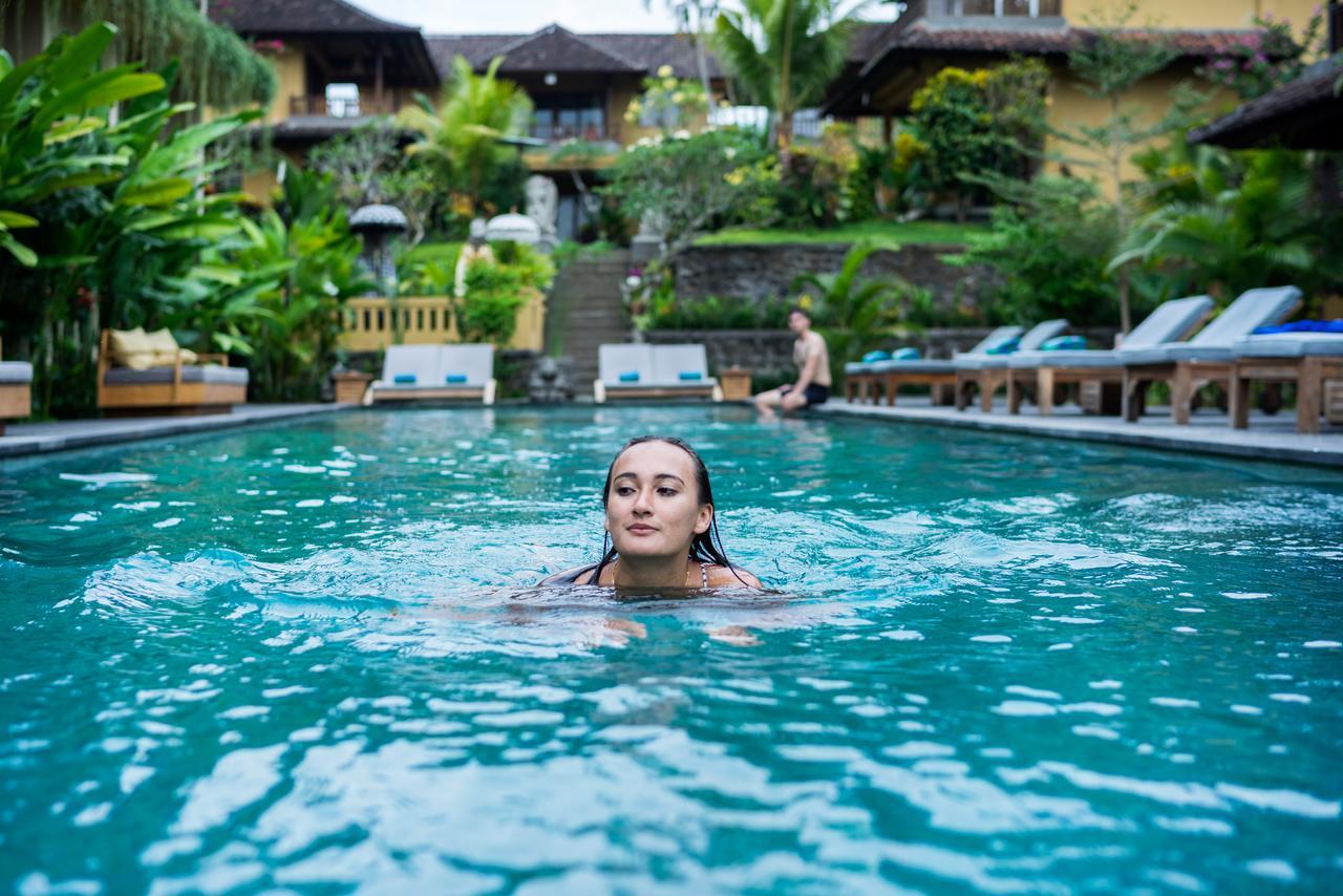 Guest house Jati