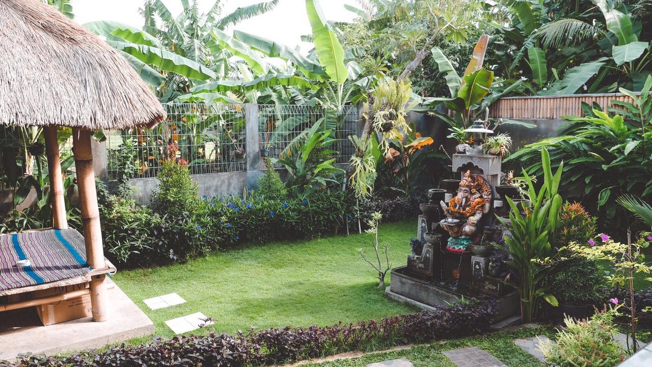 Pluto House Homestay *