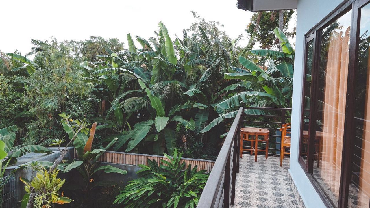 Pluto House *