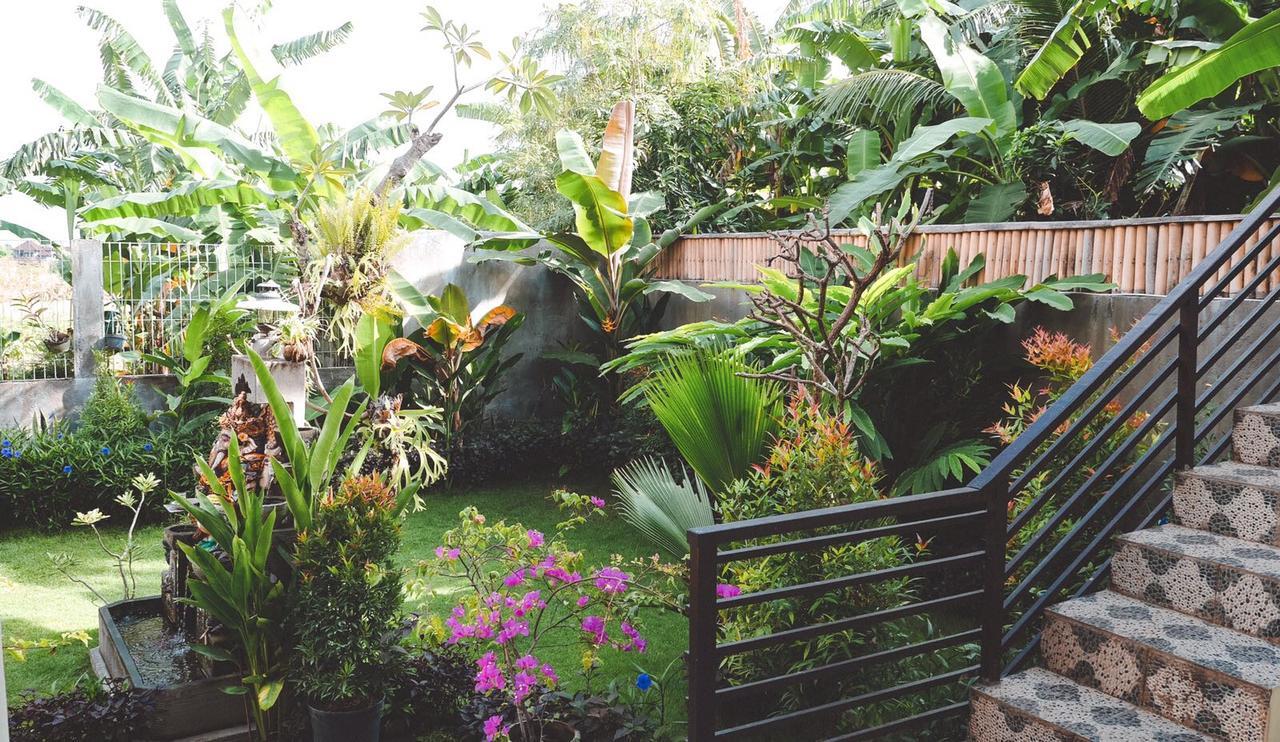 Pluto House Homestay *