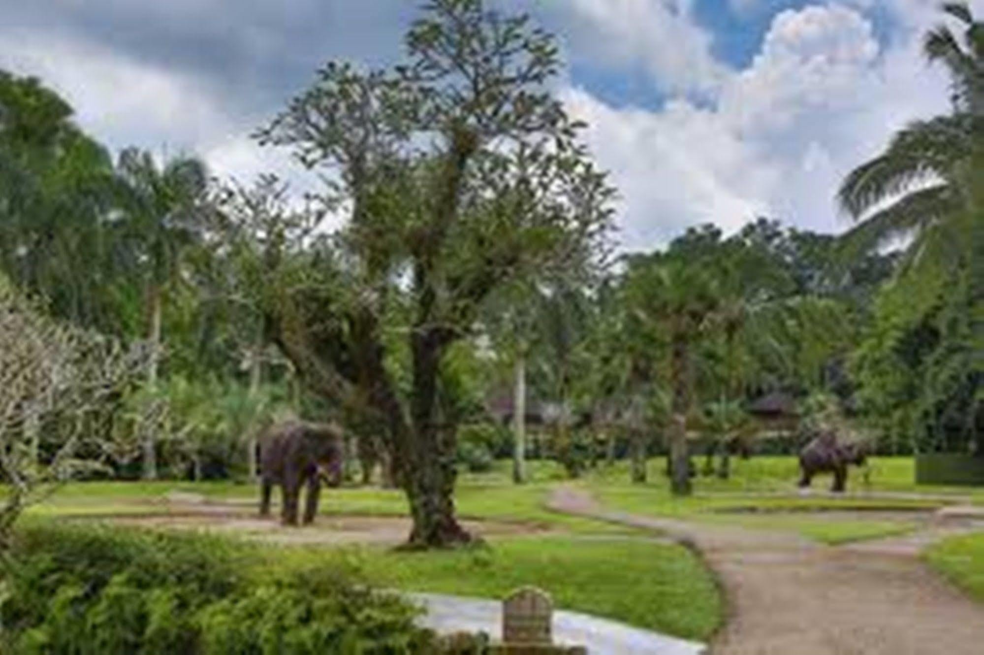 Holiday park Mason Elephant Ubud (Bali)
