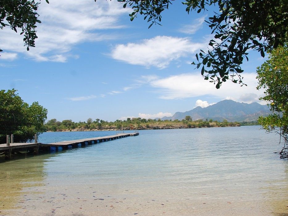 Resort The Menjangan By Lifestyleretreats 4*