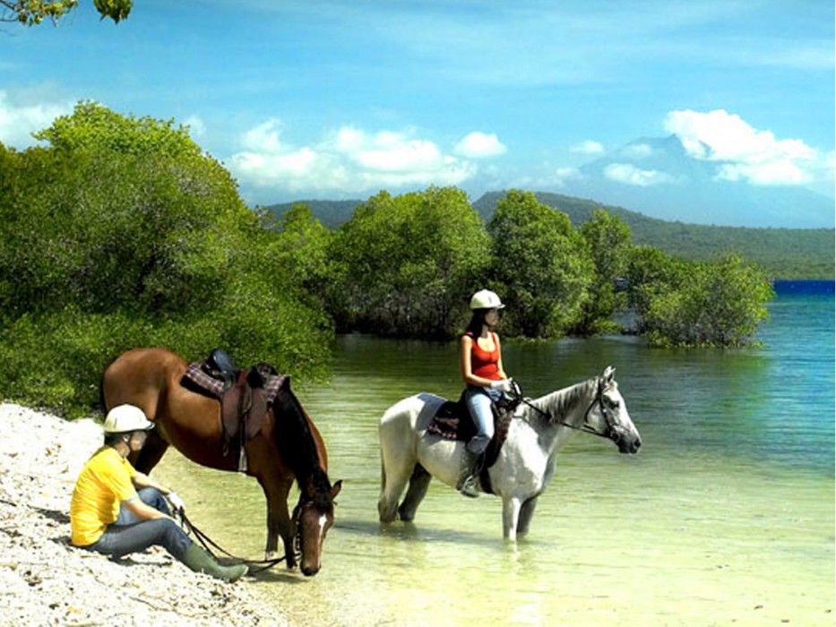 The Menjangan By Lifestyleretreats 4*