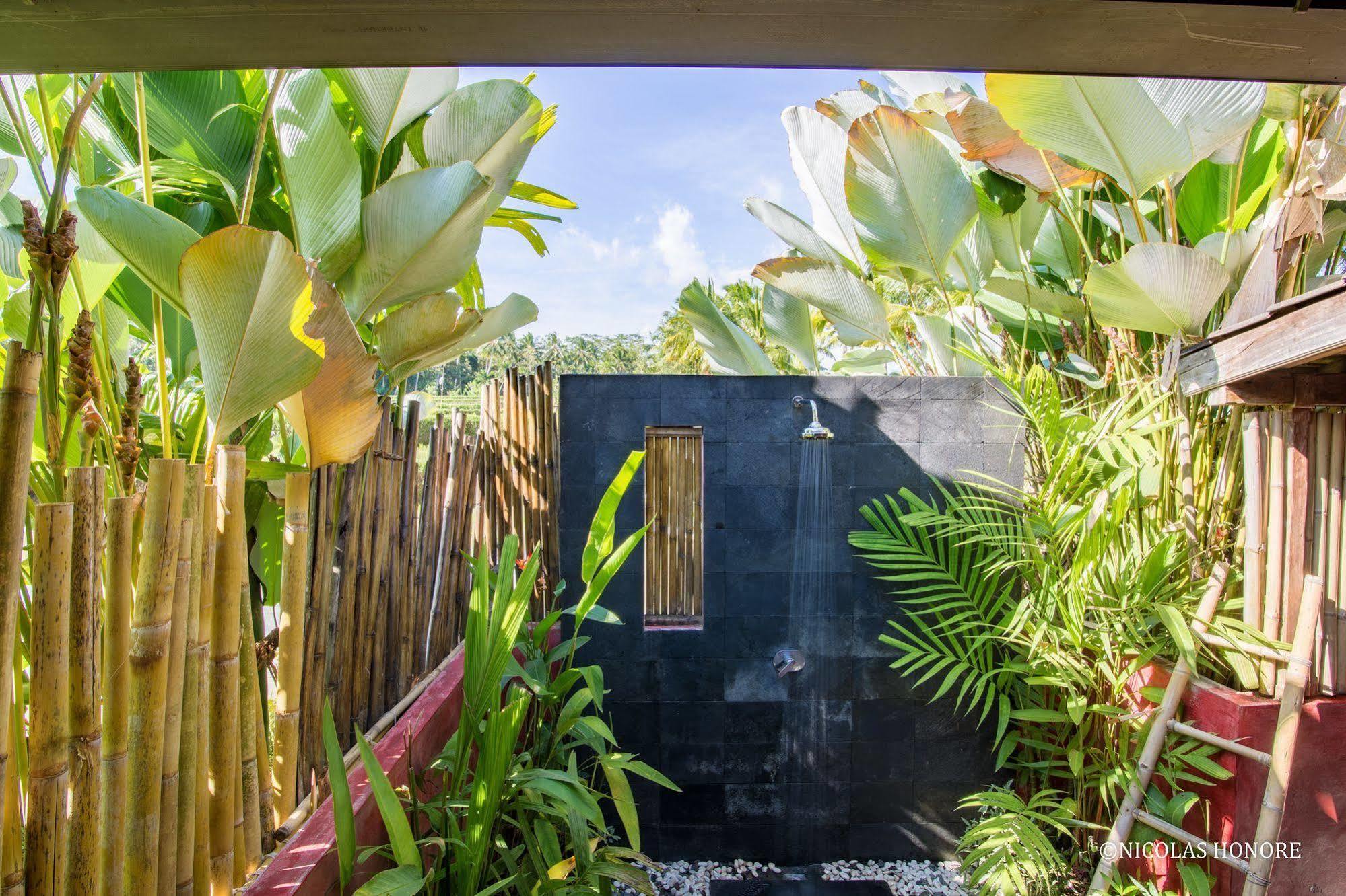 Hati Padi Bed & Breakfast Ubud (Bali)