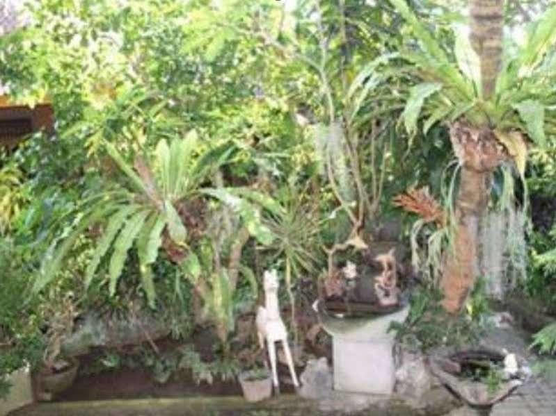 Sadru House Tempat Tidur & Sarapan