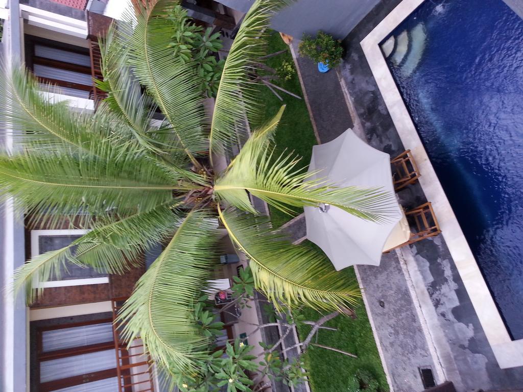Guest house Dabumito
