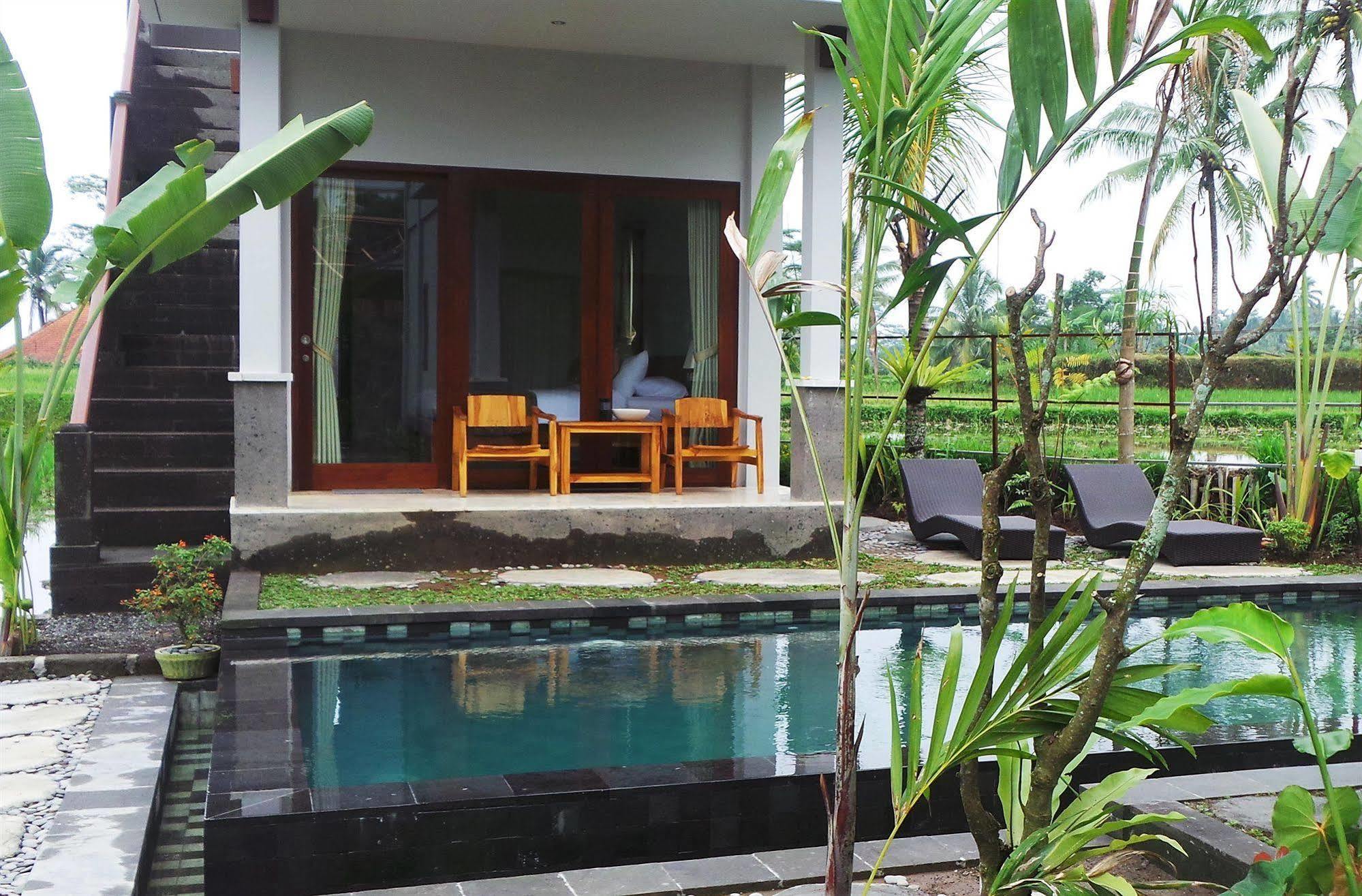 Wisma tamu Kemuning 3*