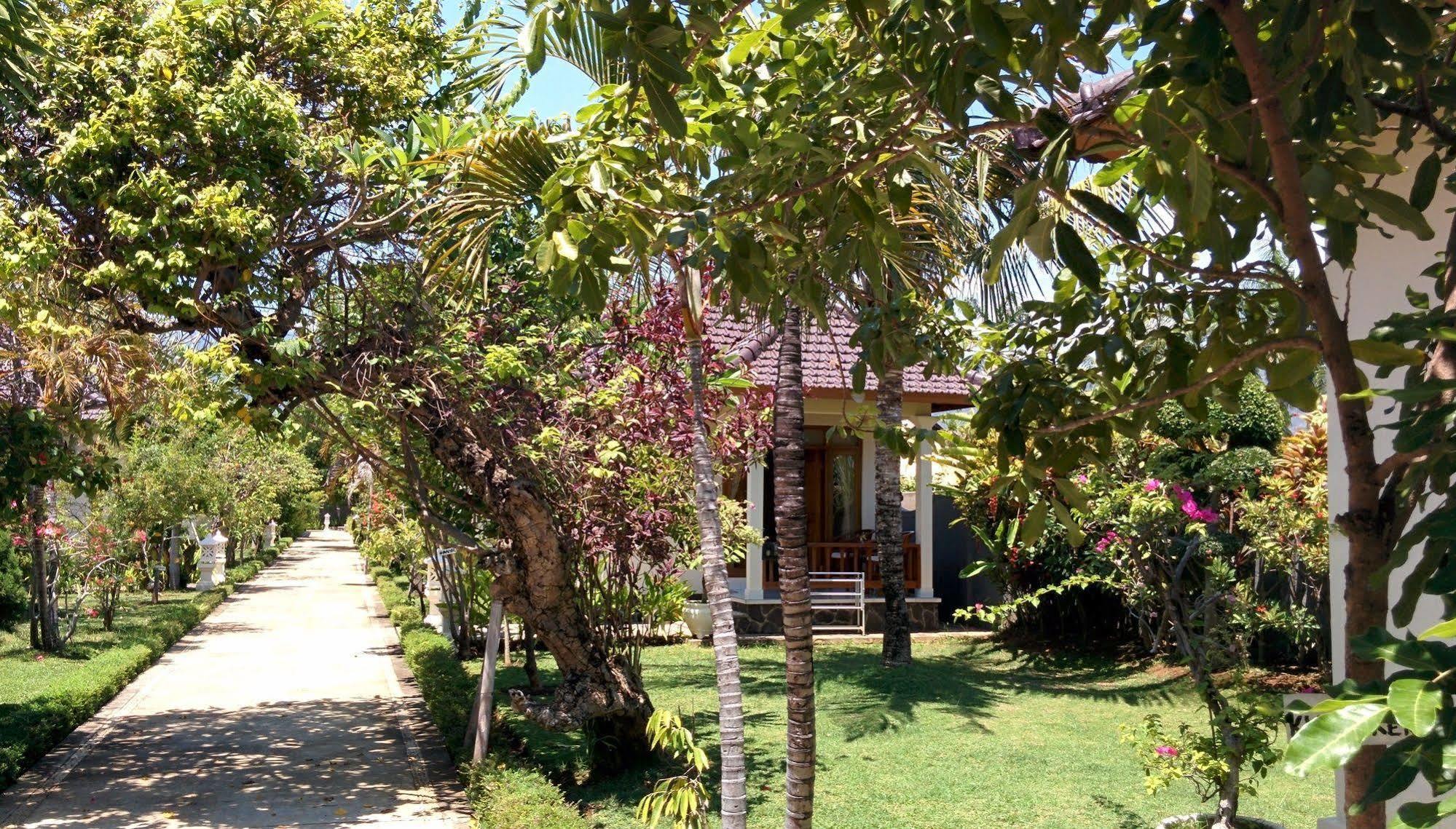 Holiday park New Starlight 3*