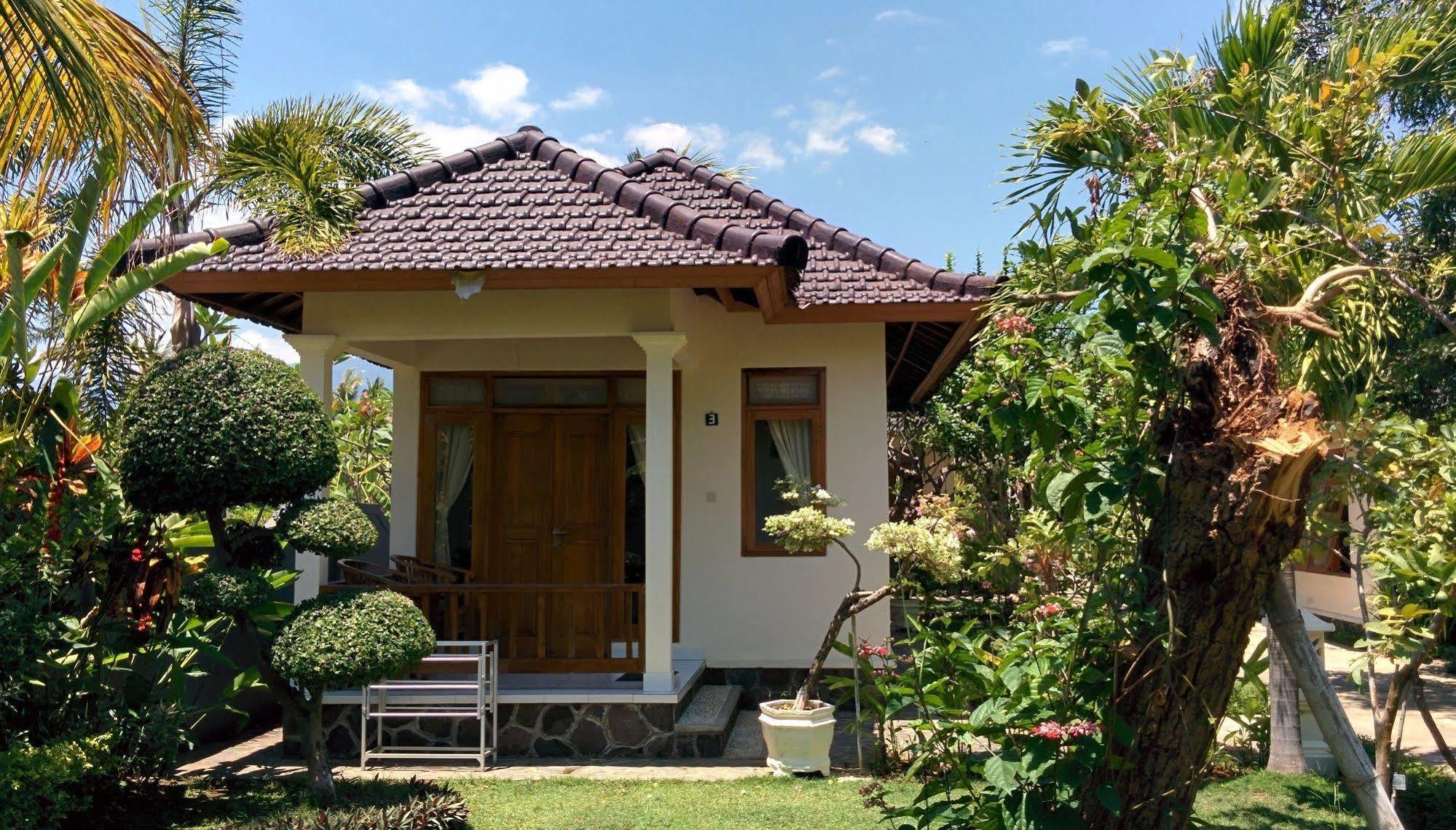 New Starlight 3* Lovina (Bali)