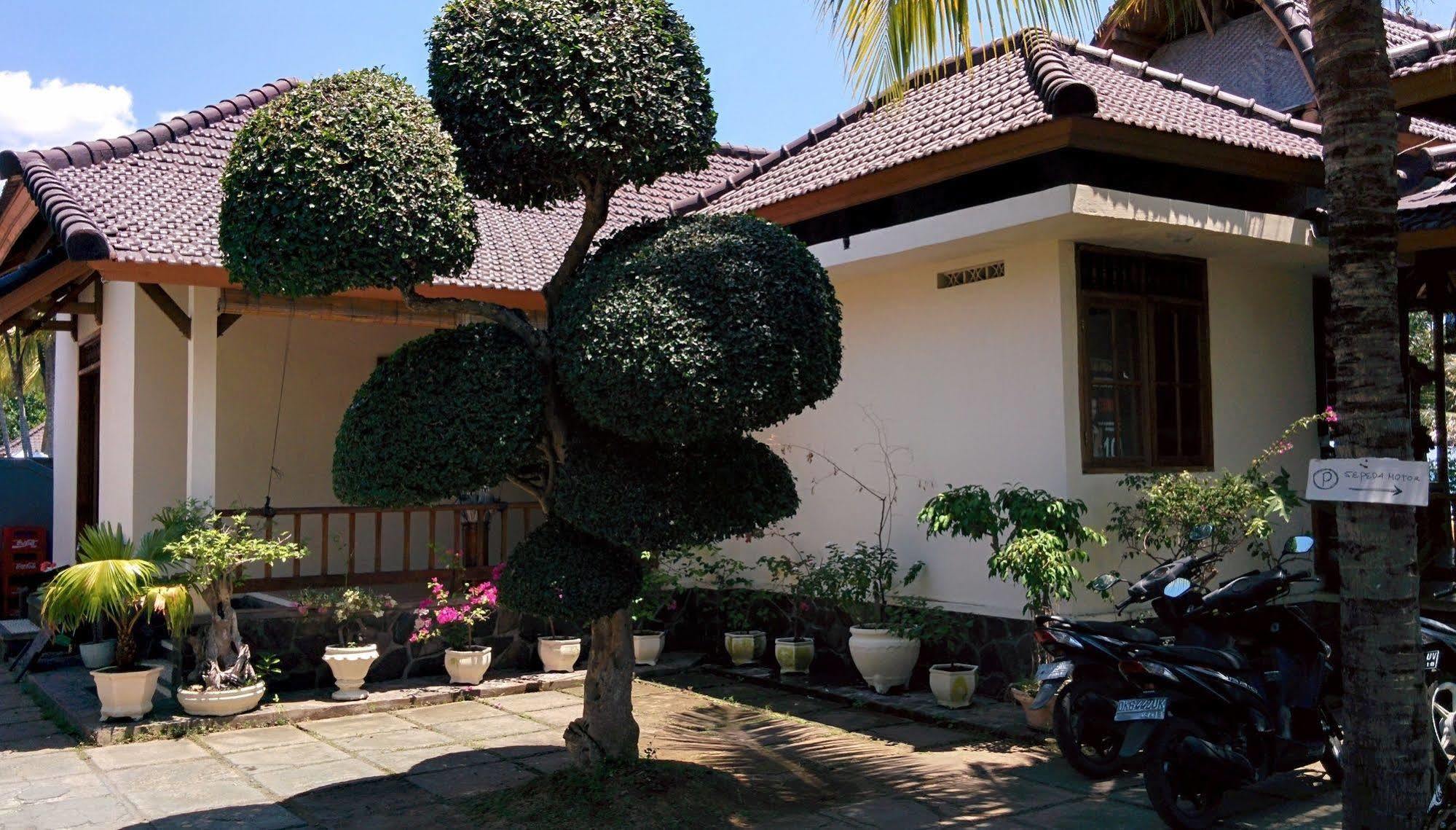 Holiday park New Starlight Lovina (Bali)