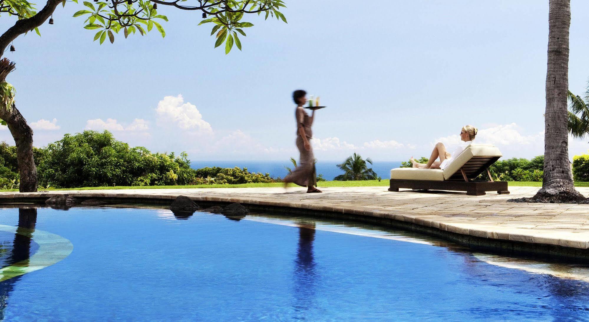 The Damai Lovina (Bali)