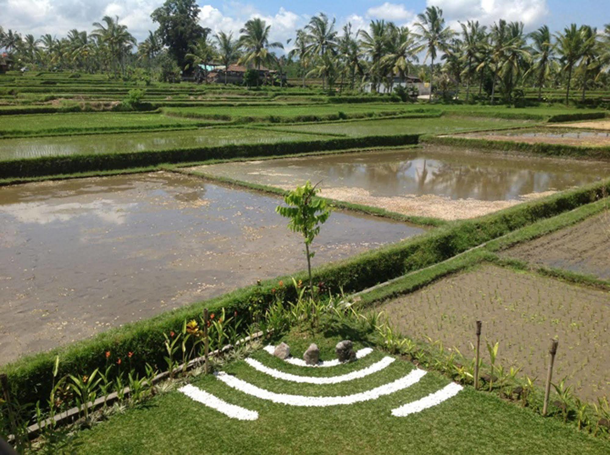 Manyi Village