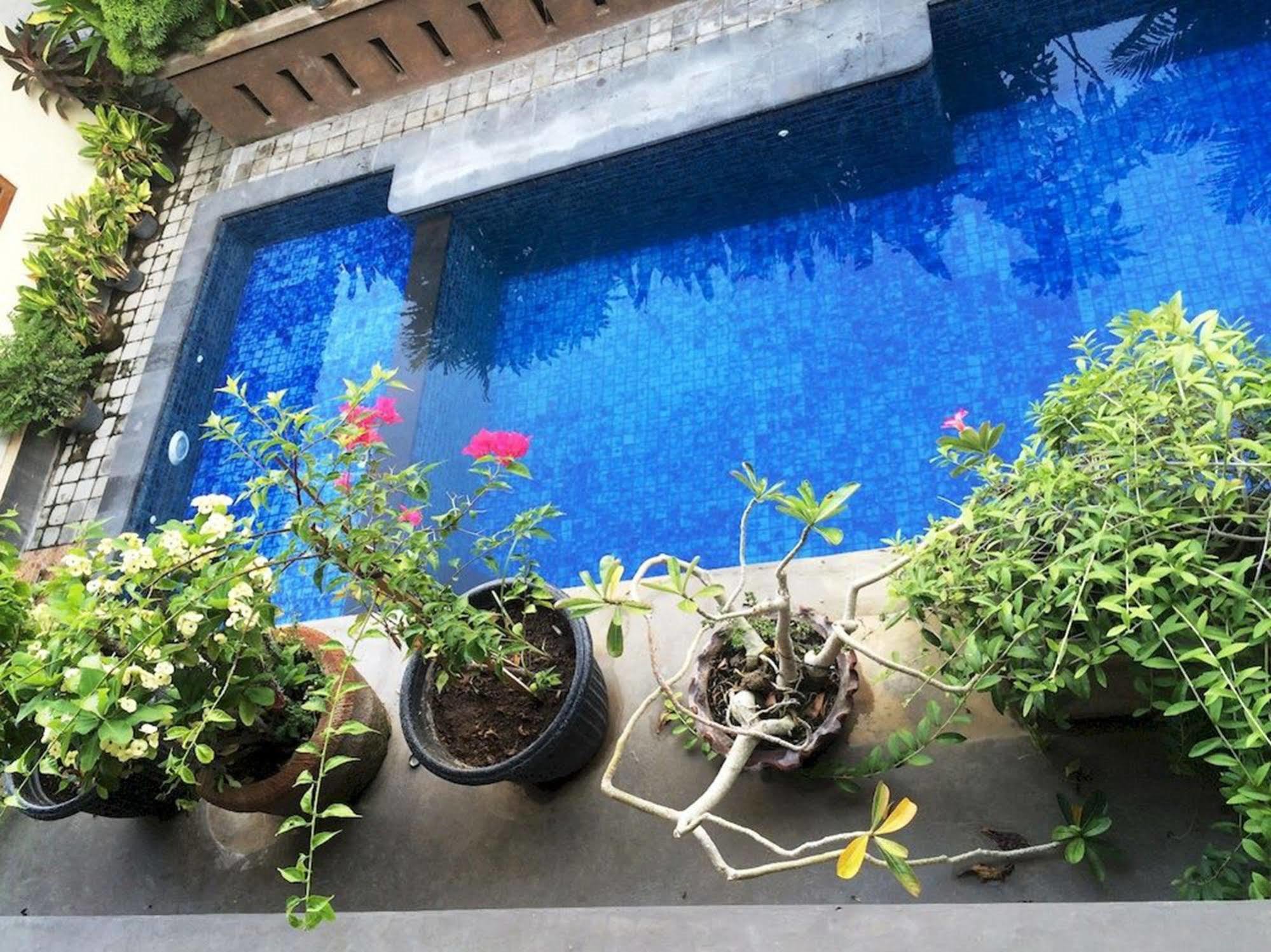 Guest house Waringin Homestay Kuta (Bali)