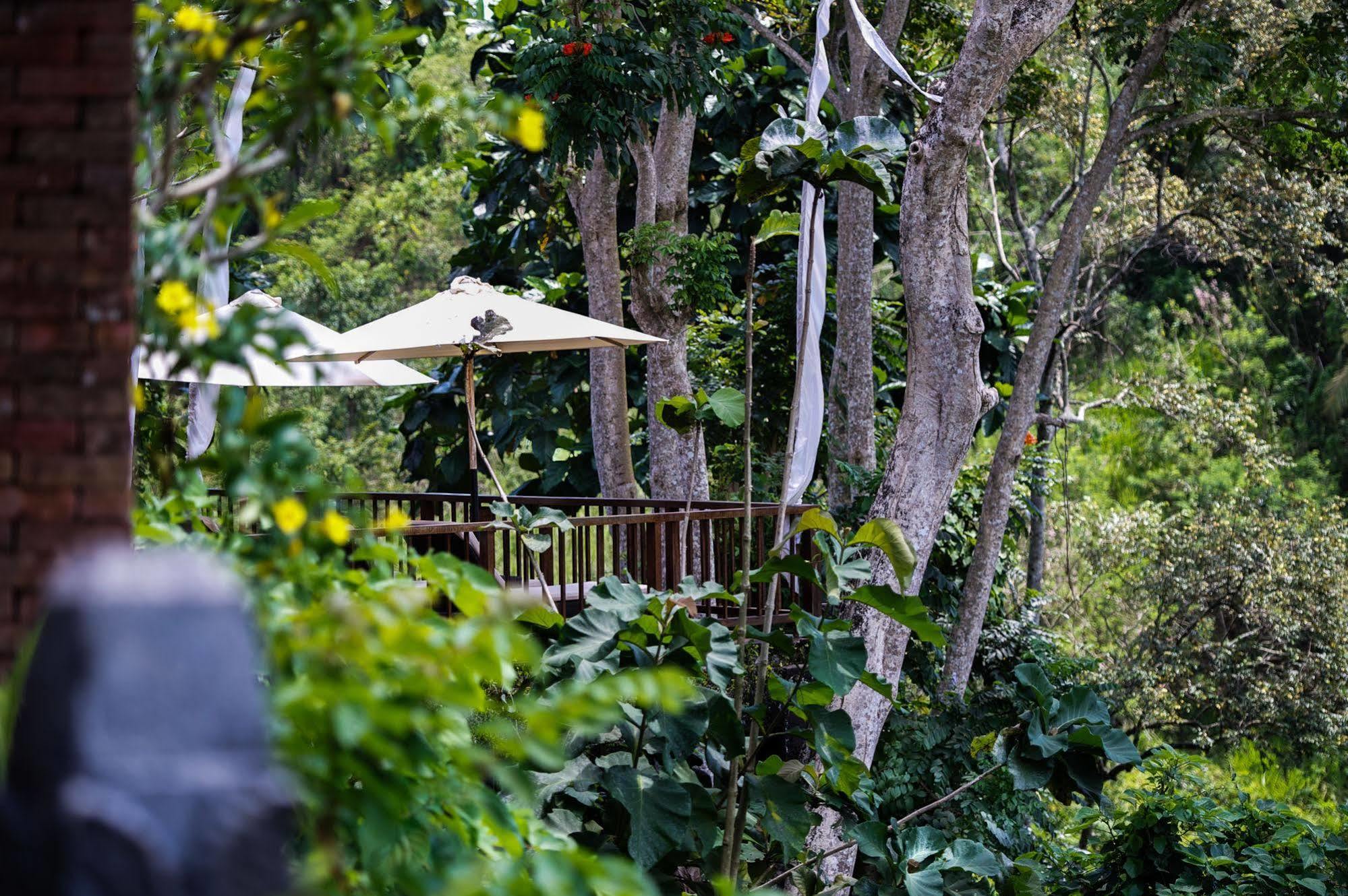 Villa Natura Bali