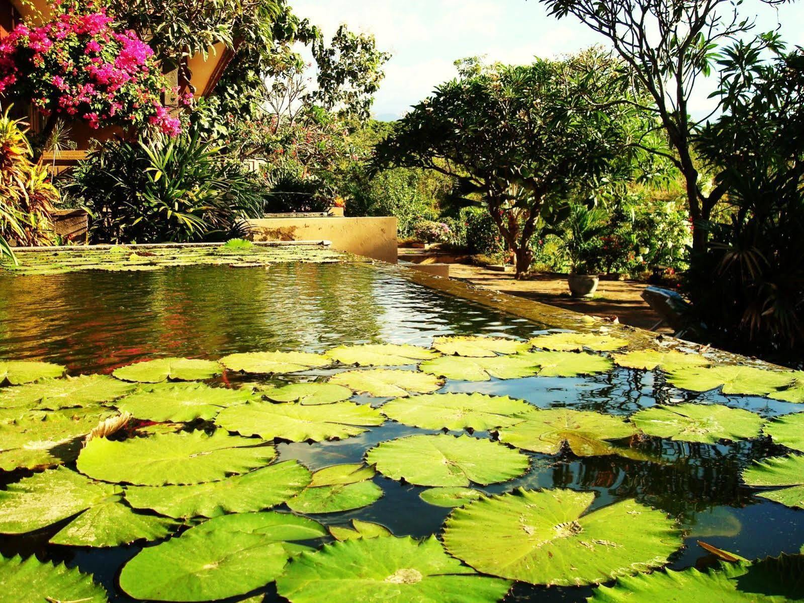 Zen Bali Villa