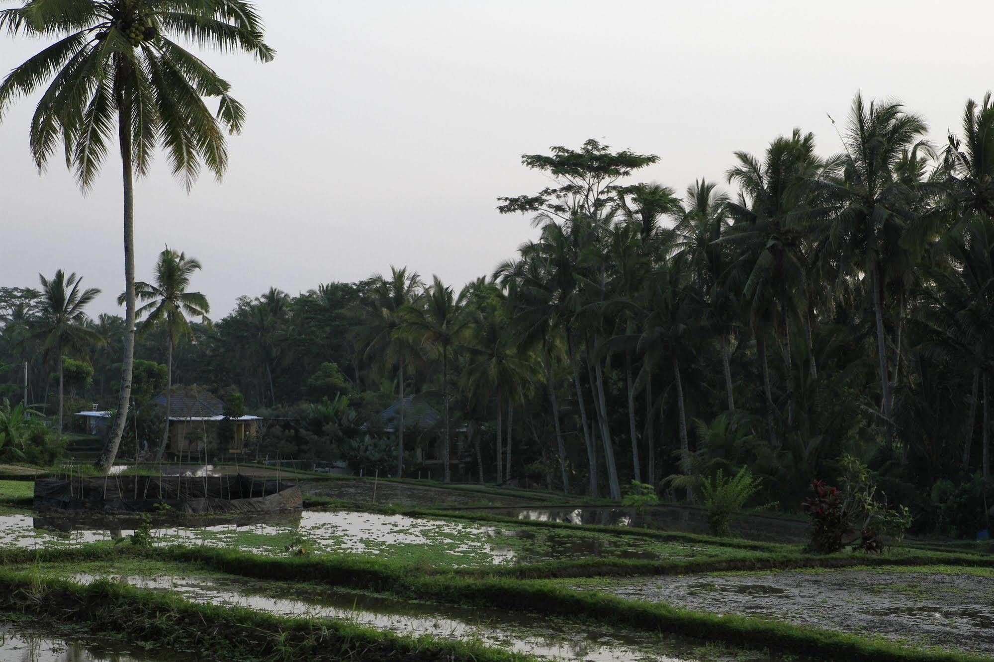 Syailendra Ubud (Bali)