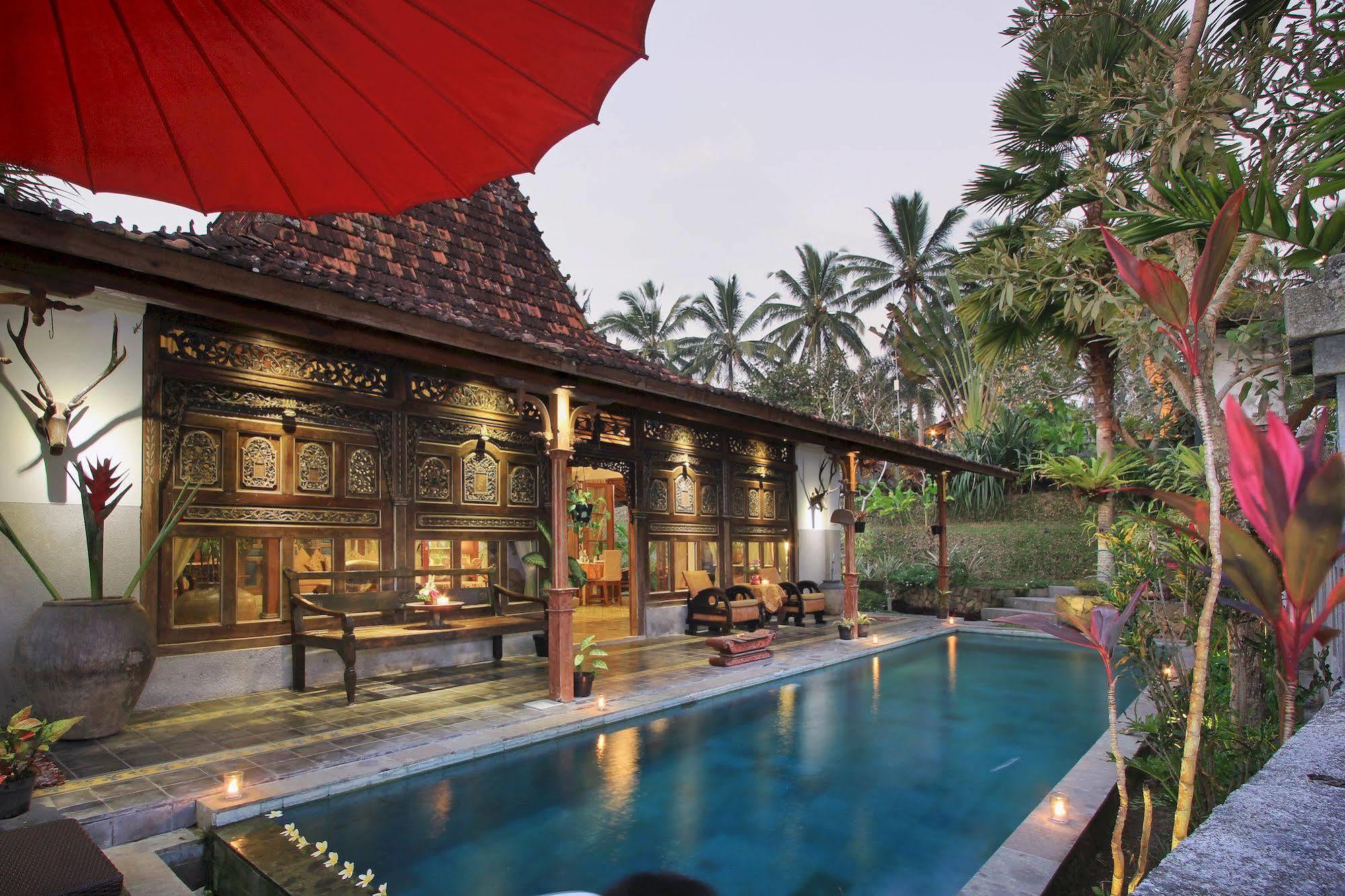 Syailendra * Ubud (Bali)