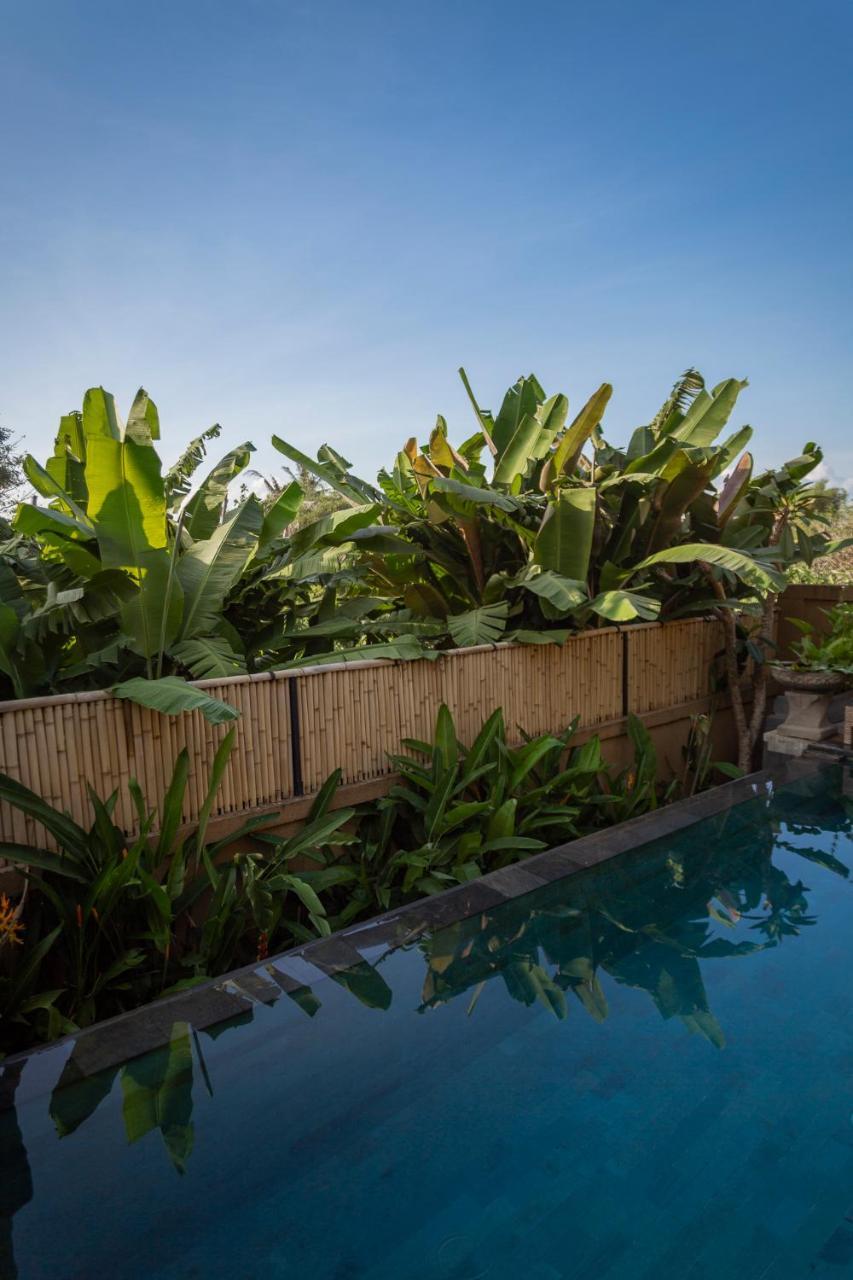 Guest house Umah Tikari 2*