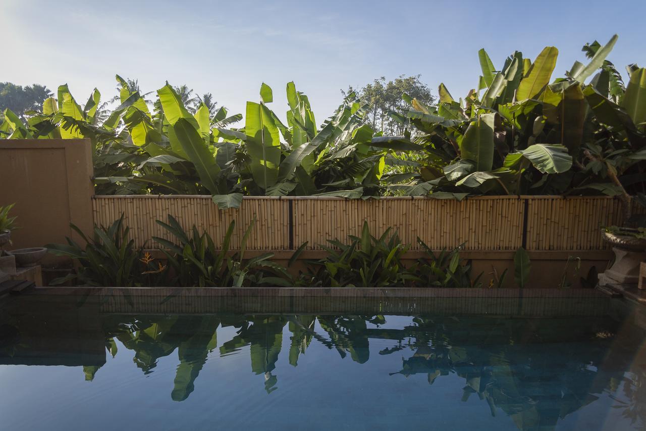 Umah Tikari 2* Canggu (Bali)