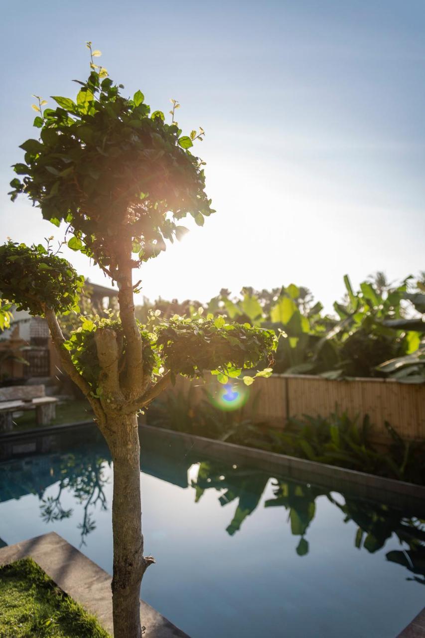 Umah Tikari 2* Canggu (Bali)