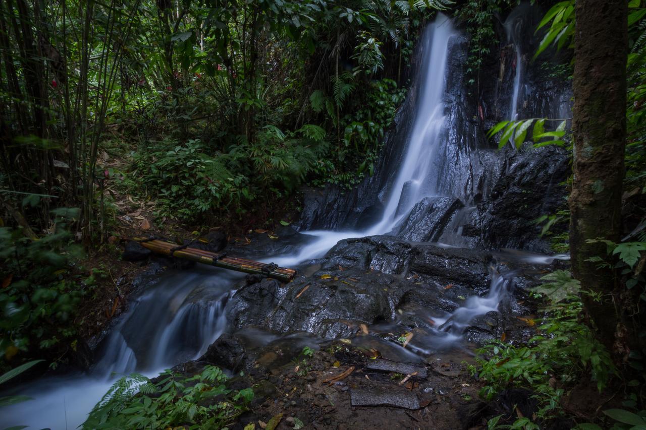 Bali Eco Adventure And Retreat Center 3* Tegallalang (Bali)