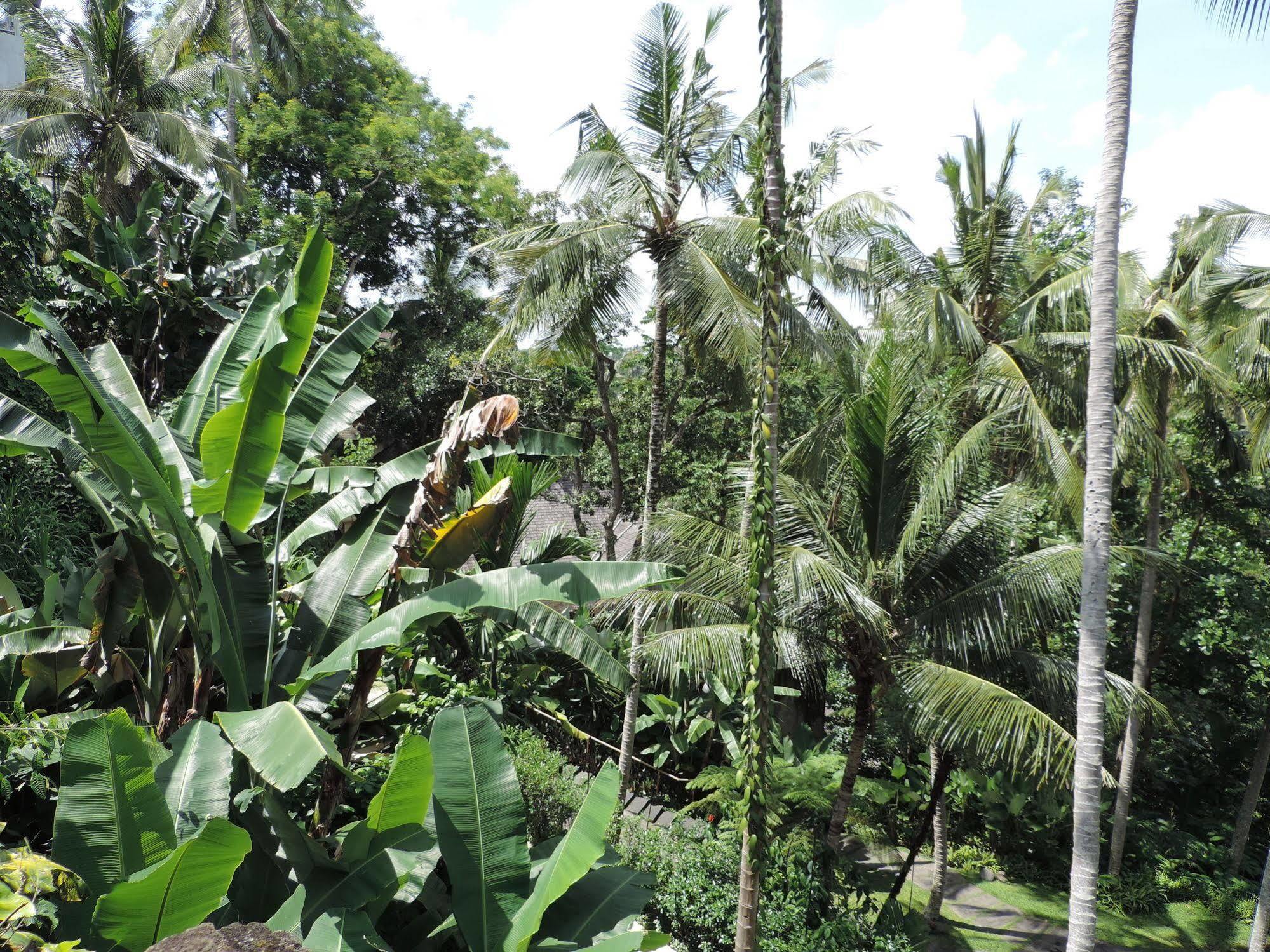 Guest house Nick's Hidden By Mahaputra-chse Certified
