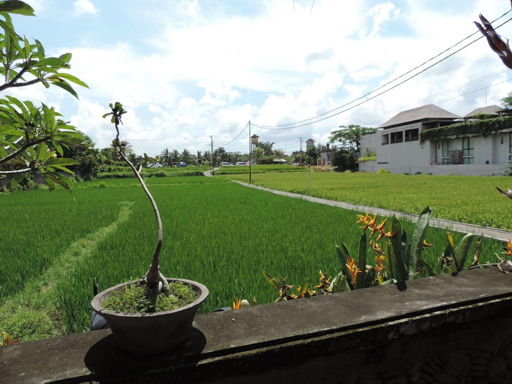 Nick's Hidden By Mahaputra-chse Certified Guest house Ubud (Bali)