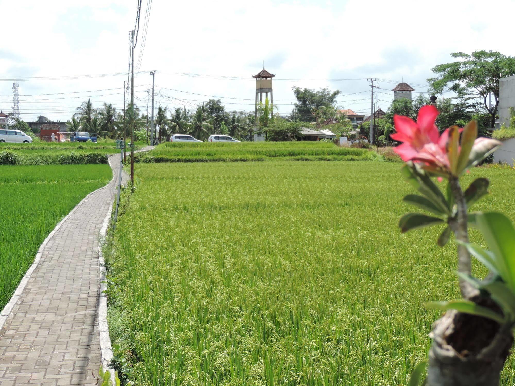 Guest house Nick's Hidden By Mahaputra-chse Certified 2*