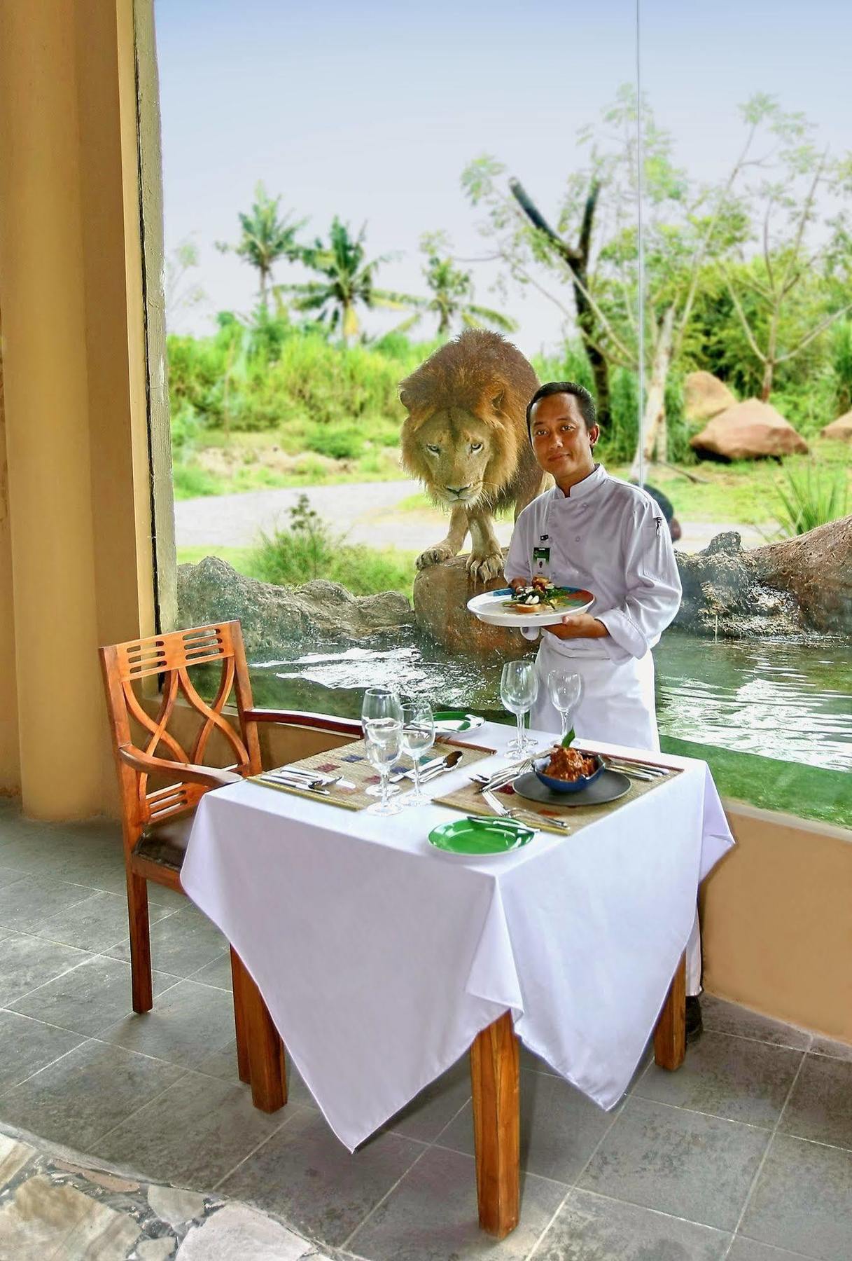 Lodge Mara River Safari Bali