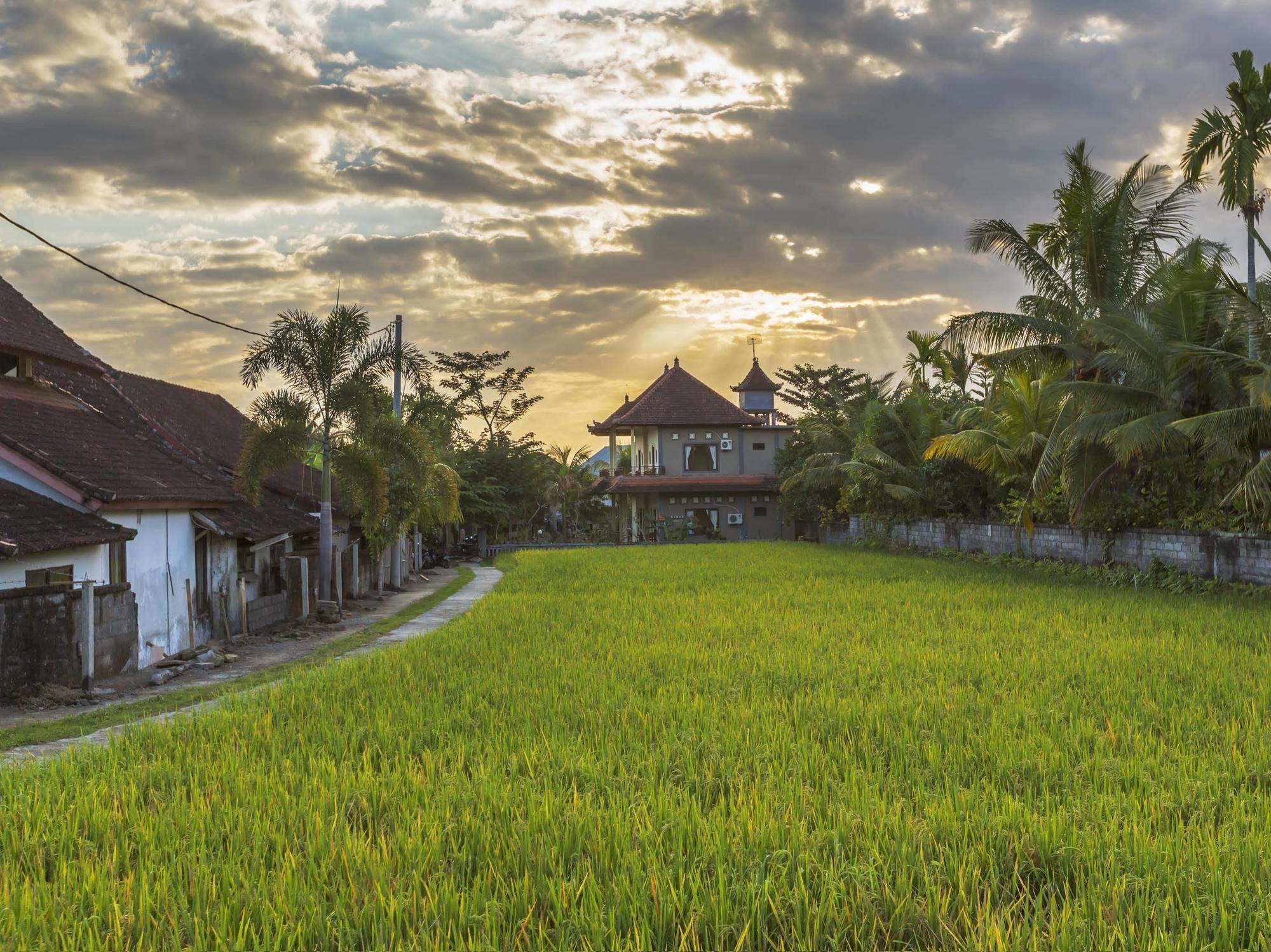 Abipraya Ubud 4*