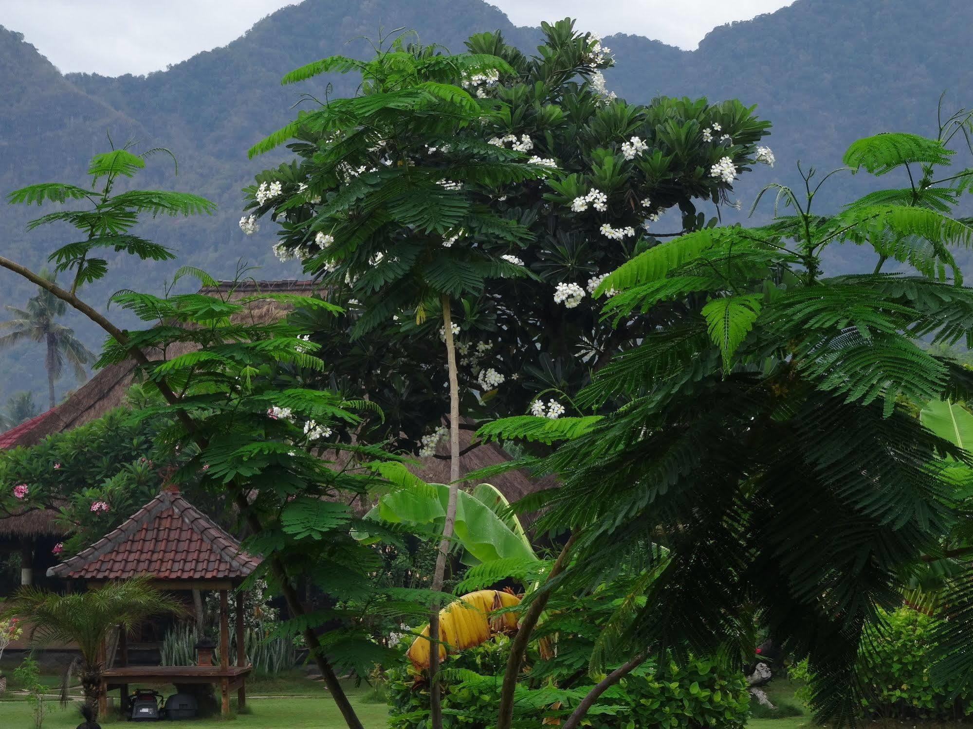 Sunia Loka Holiday park 3*