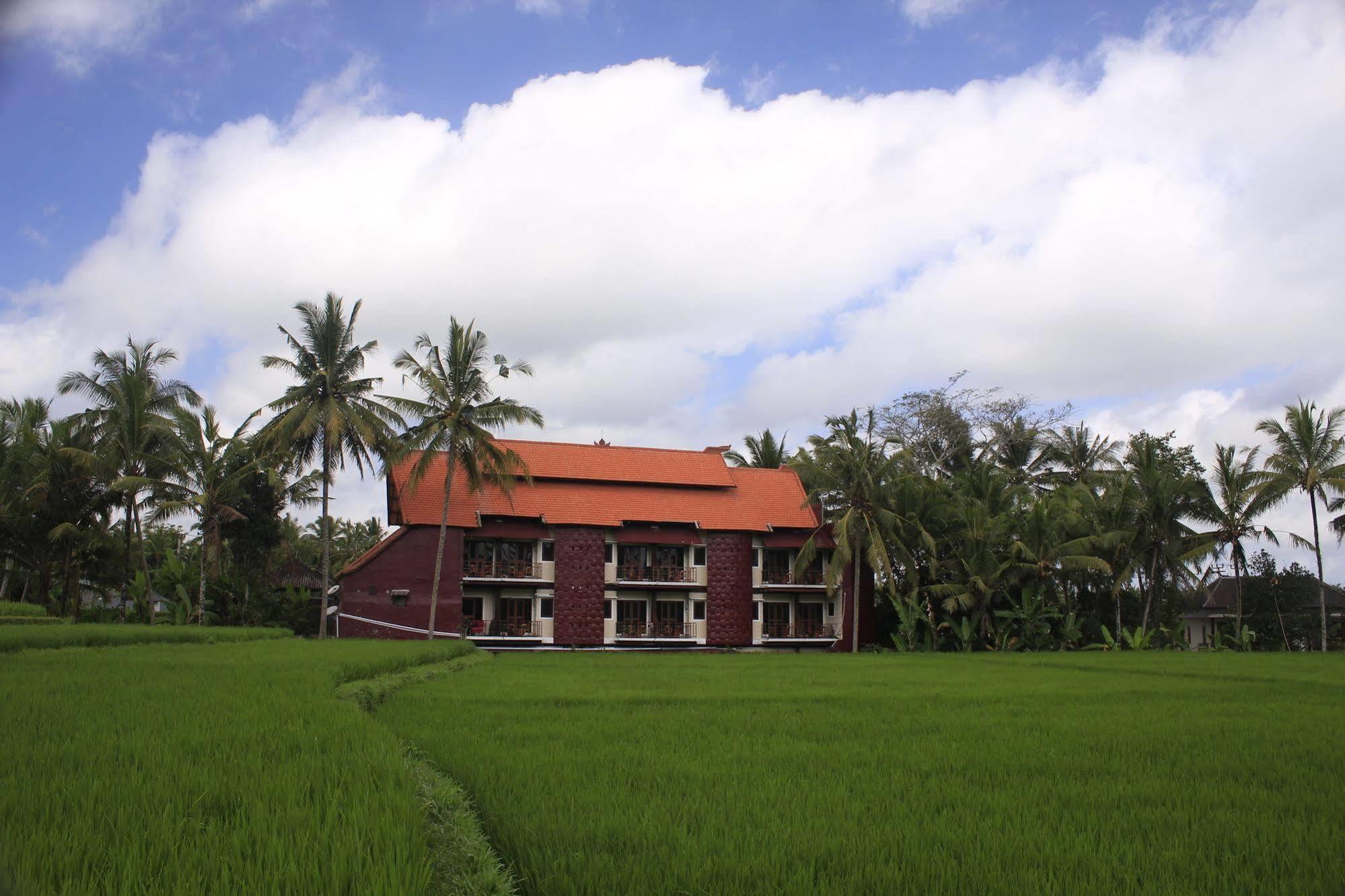 Junjungan And Ubud (Bali)