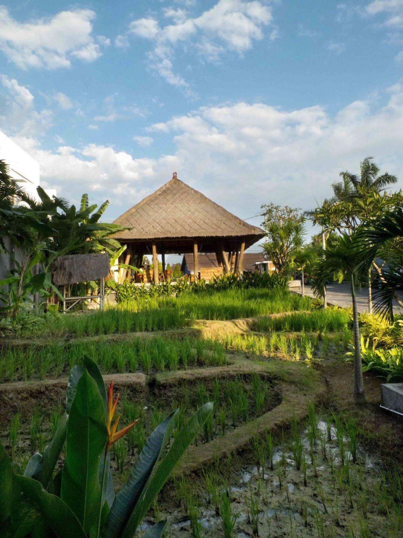 Hotel The Kirana 4*