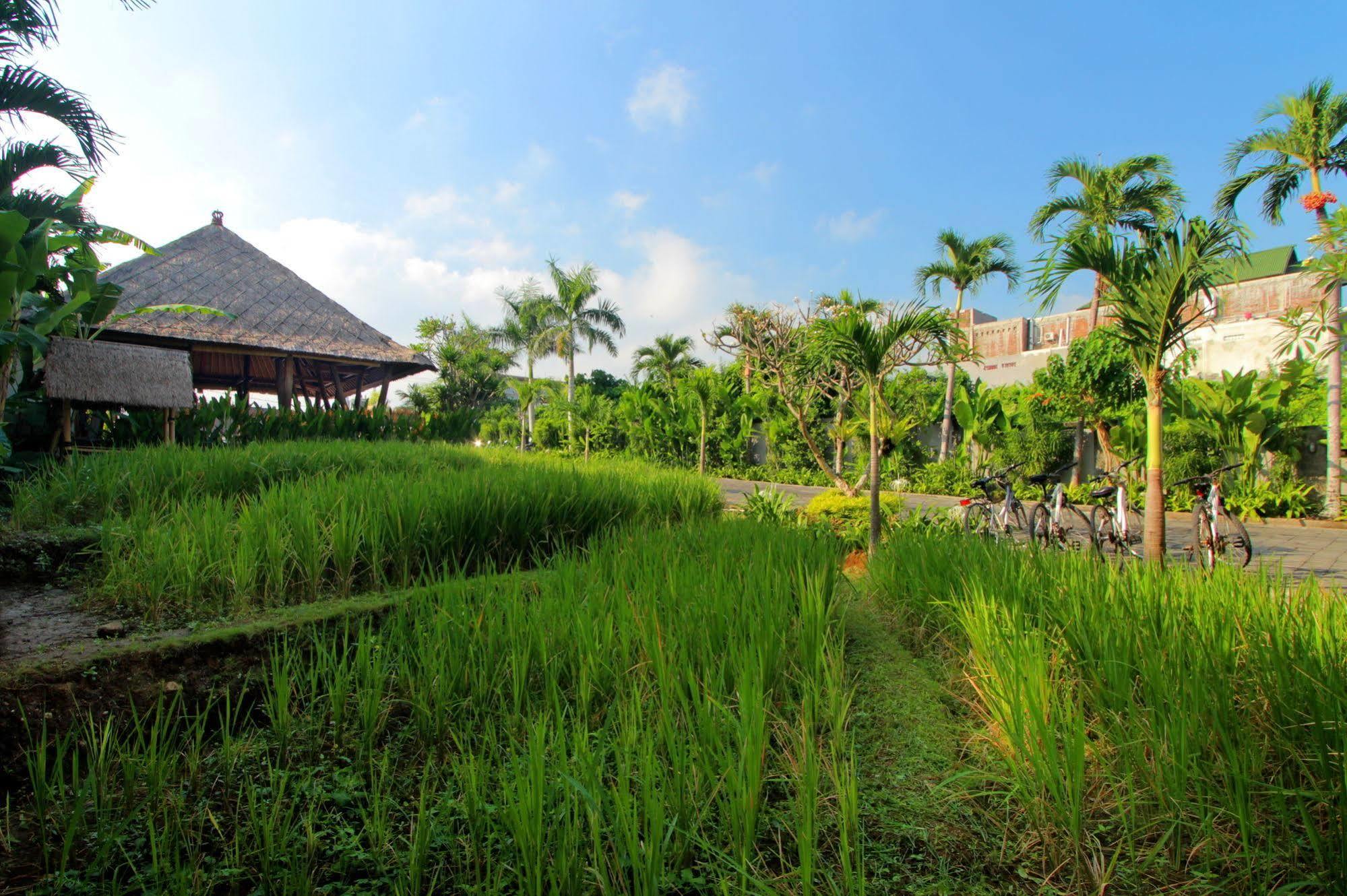 The Kirana Canggu (Bali)
