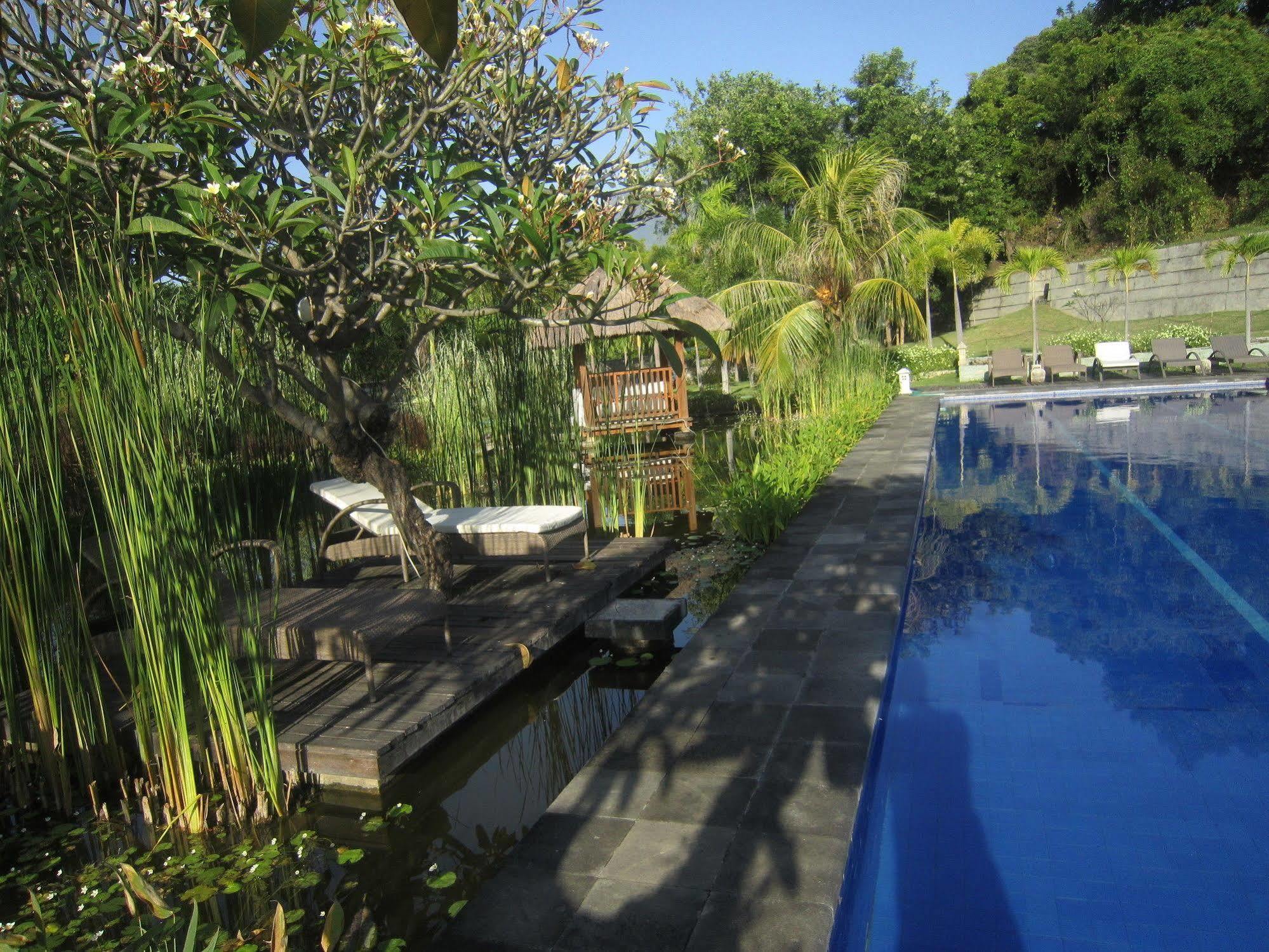 Bluehill Dive